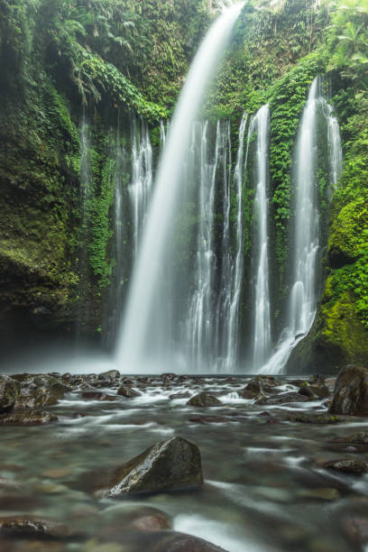 istock Tiu Kelep waterfall in Lombok, Indonesia 870625014