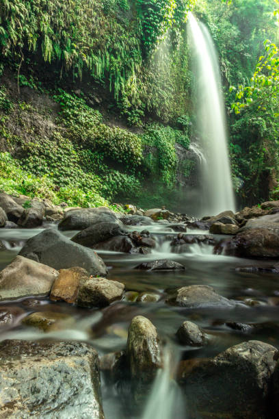 istock Sendang Gile waterfall in Lombok, Indonesia 870625316