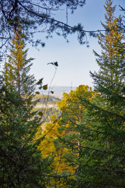 istock the mountain autumn landscape 870625398