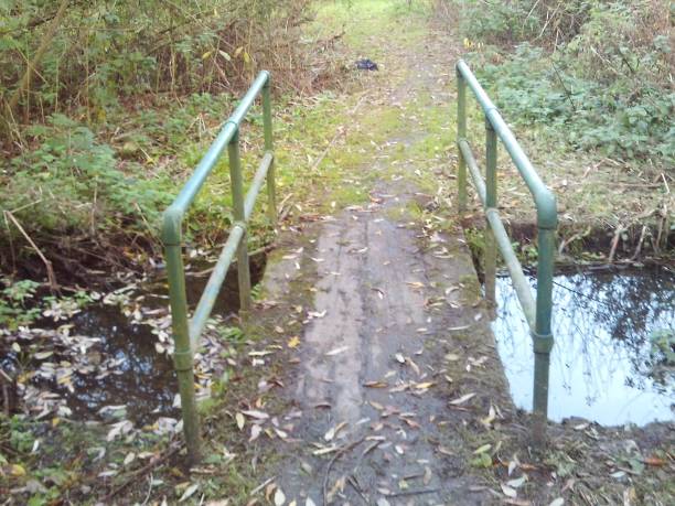 istock Even a dumpy council estate can have its beauty somewhere somehow. 870629088