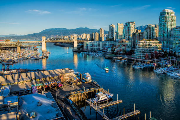 Autumn colored maple leaf Vancouver Appearance from Vancouver day with harbor at Granville Island at Sunrise. Autumn colored maple lea granville island stock pictures, royalty-free photos & images