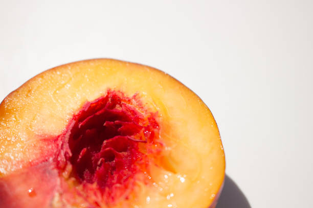 Nectarine.