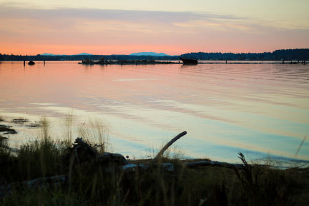 istock Water's Edge Near Comox, British Columbia 870644308