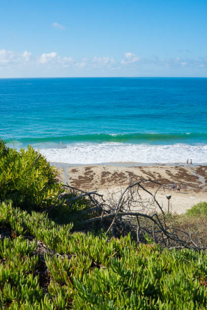 istock Beautiful Laguna Beach, Southern California 870648834