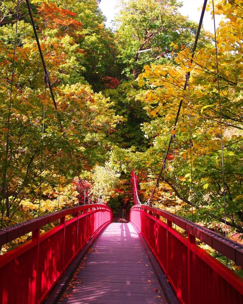 istock Futami Suspension Bridge in late autumn 870649002