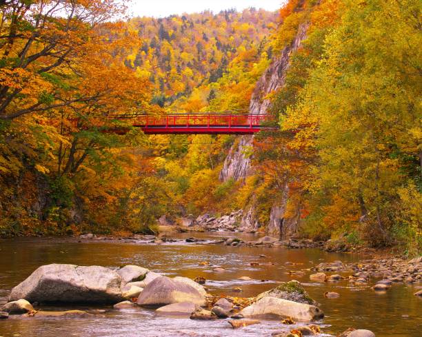 istock Futami Suspension Bridge in late autumn 870649314