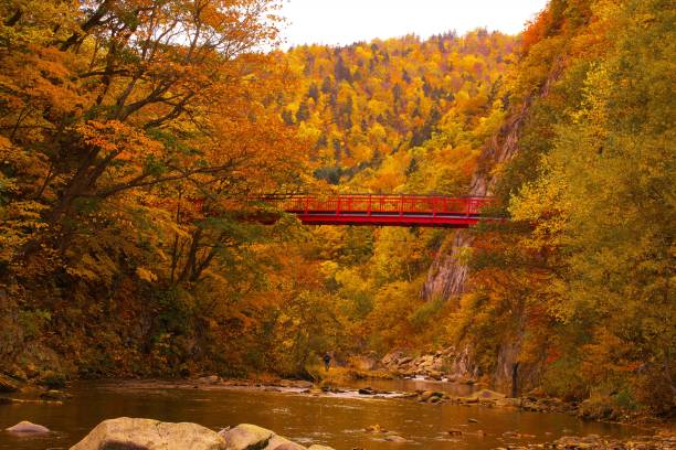istock Futami Suspension Bridge in late autumn 870649378