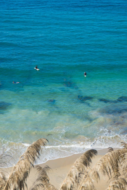 istock Surfing in Laguna Beach 870649394