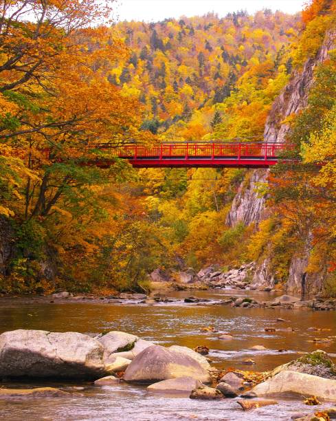 istock Futami Suspension Bridge in late autumn 870649518