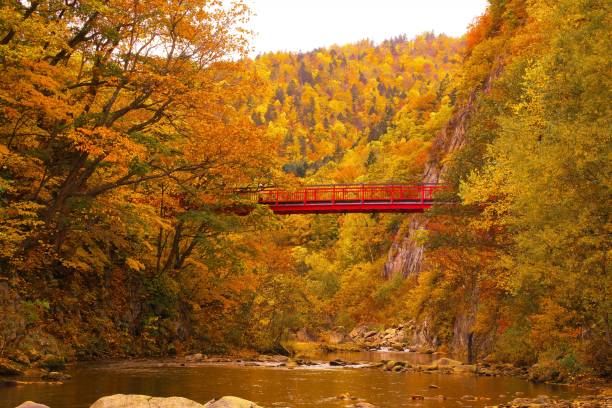 istock Futami Suspension Bridge in late autumn 870649550