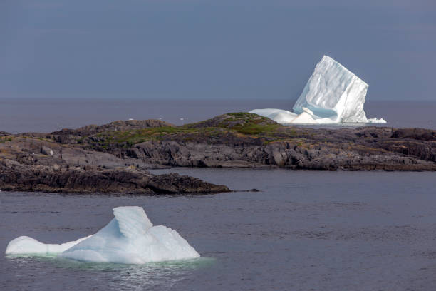 istock two icebergs at Fogo Island 870652268