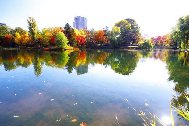istock Nakajima Park in a superb view 870652288