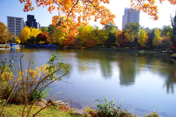 istock Nakajima Park in a superb view 870652424