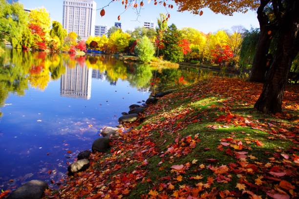 istock Nakajima Park in a superb view 870652582