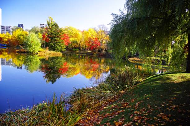 istock Nakajima Park in a superb view 870654660