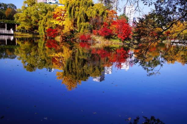 istock Nakajima Park in a superb view 870654724