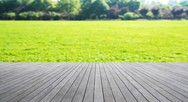 istock Wooden platform and green field abstract background 870654810