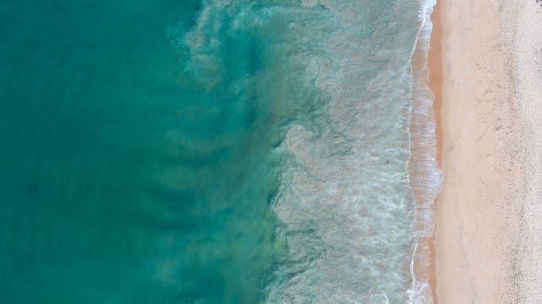 istock Waves in Newport Beach, California 870658058