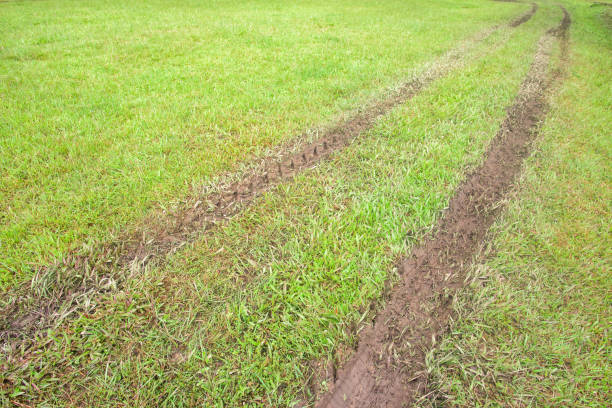 Road in a green field, Car track through a grass park