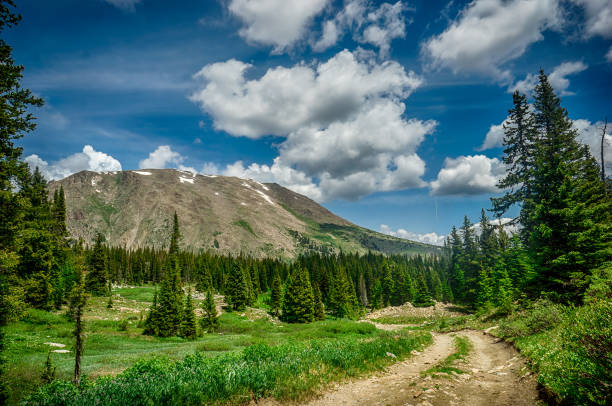istock Hiking in Colorado 870658524