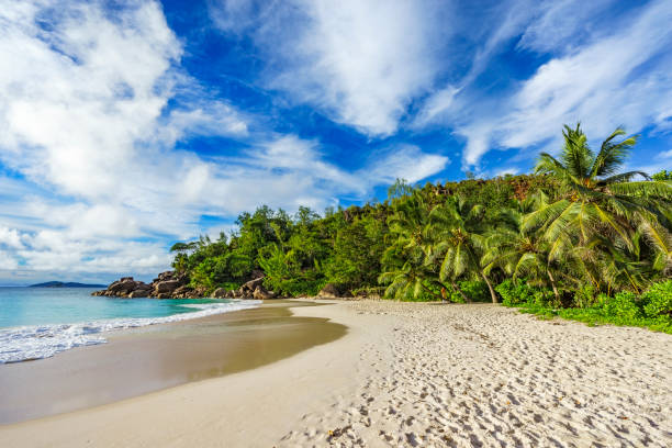 istock sunny day on paradise beach anse georgette,praslin seychelles 52 870660878