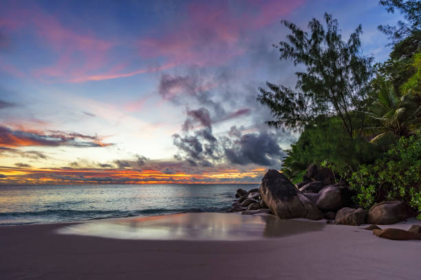istock Spectacular romantic purple sunset at anse georgette, praslin, seychelles 2 870664310