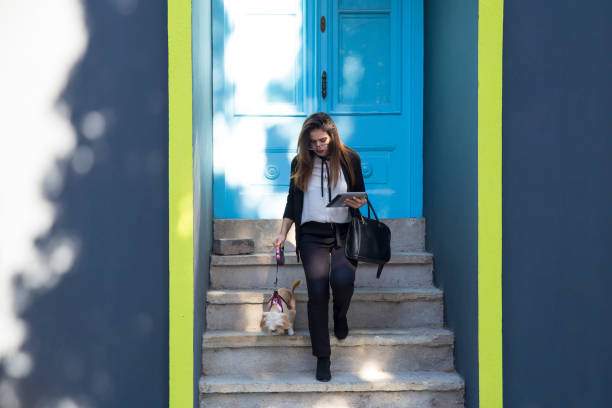 istock Young business woman walking with a dog 870664714