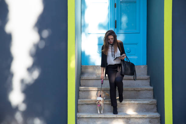 istock Young business woman walking with a dog 870664970