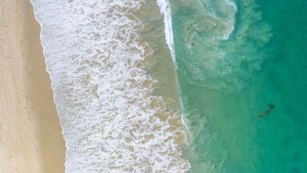 istock Aerial View of Crystal Cove State Beach 870665528