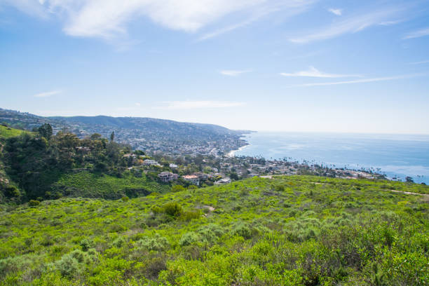 istock Beautiful Lush Laguna Beach, California 870670502