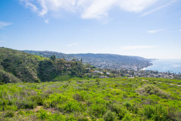 istock Beautiful Lush Laguna Beach, California 870670556