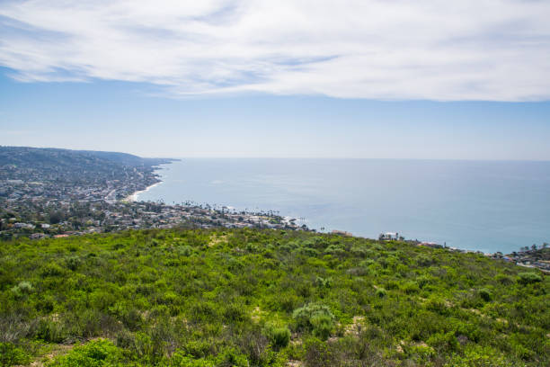 istock Beautiful Lush Laguna Beach, California 870670972