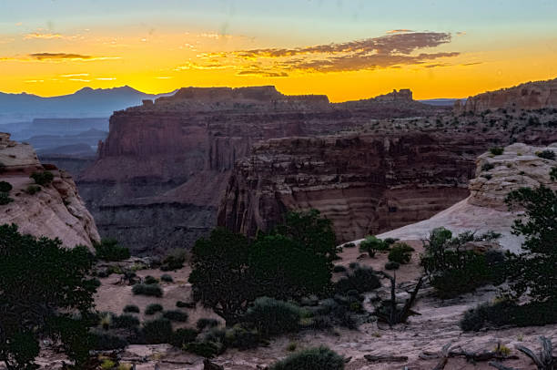 istock Canyonlands National Park 870674024