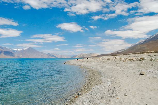 istock Pangong in the daytime 870684728