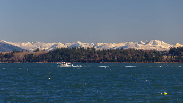 istock Padilla Bay Winter Landscape 870688812