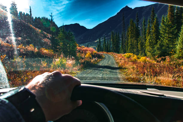 istock Autumn wild wonderland 870691630