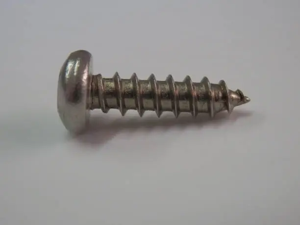 A close-up of a stainless steel pan head wood screw