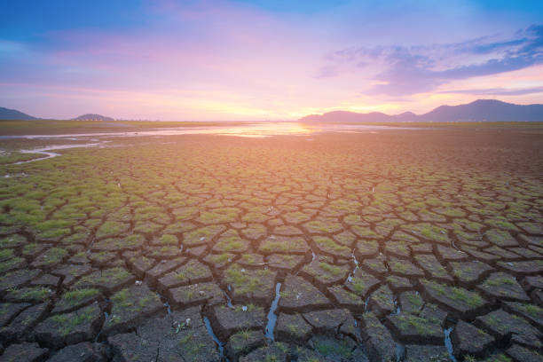istock Cracked ground with little glass with sunset skyline 870704894