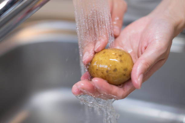 closeup of housewife's hands washing potato in kitchen, photographed naturally without heavy processing
