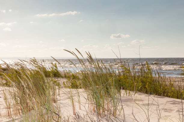 istock Sandy beach dunes and sea water 870714198