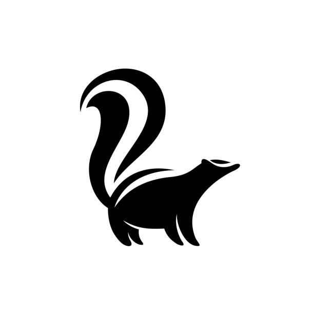 kokarca sembolü. siyah düz renk basit zarif kokarca hayvan illustr - skunk stock illustrations