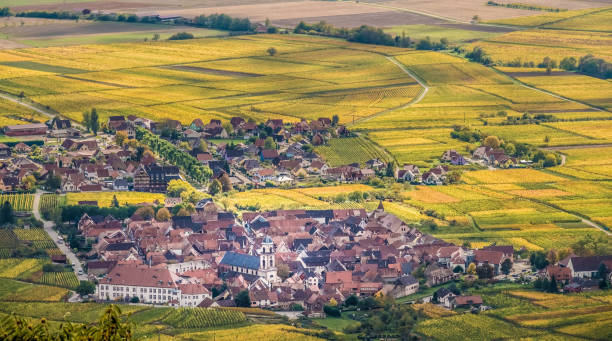 il villaggio vinicolo di orschwiller, basso reno, alsazia, francia, appena a ovest di sélestat. arroccato su uno sperone roccioso che si trova nella pianura dell'alto reno. - koenigsbourg foto e immagini stock