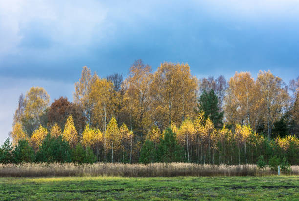 un hermoso paisaje de otoño. - 13607 fotografías e imágenes de stock