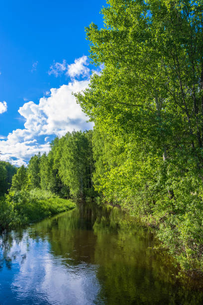 istock Beautiful water summer landscape. 870723290