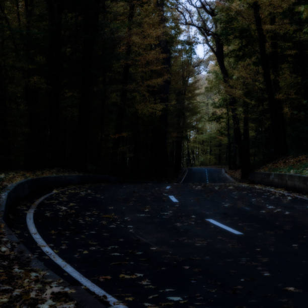 istock road through dark night forest in autumn 870729504
