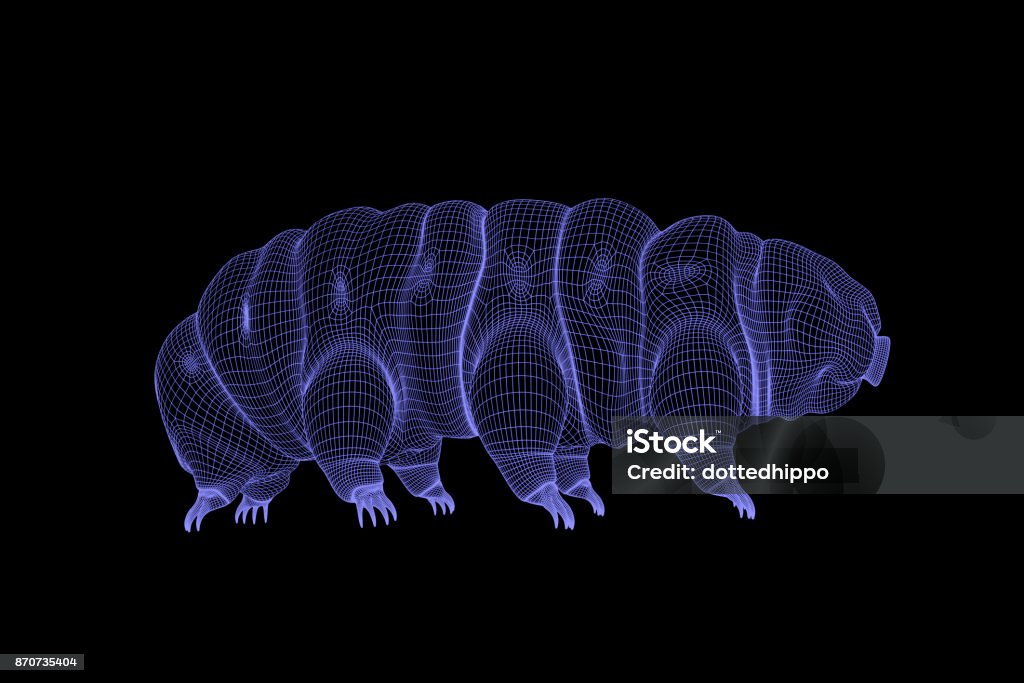 tardigrade, Wasser tragen Wireframe 3D-Rendering auf schwarzem Hintergrund - Lizenzfrei Bärtierchen Stock-Foto