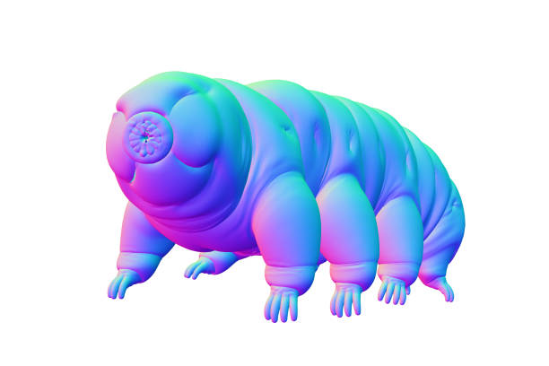 istock tardigrade, water bear isolated on white background 870735554