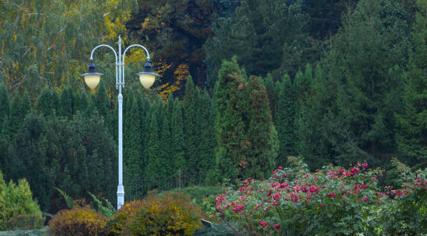 istock Beautiful autumn forest with yellow trees in park 870735692