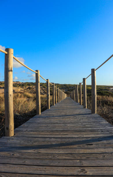 istock Wooden path to the beach on the dunes 870736390