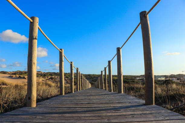 istock Wooden path to the beach on the dunes 870736398